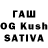Галлюциногенные грибы GOLDEN TEACHER SASHUWA BIKER