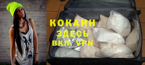 PSILOCYBIN Верея