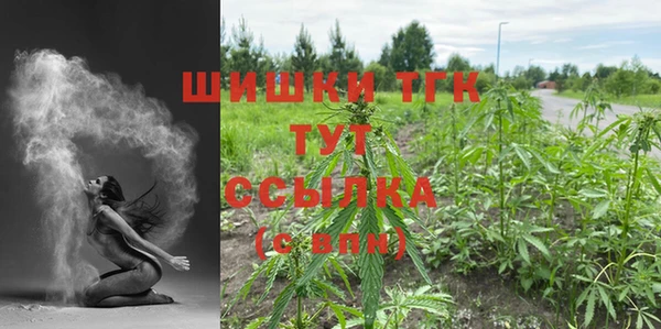 PSILOCYBIN Верея