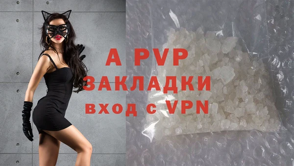 PSILOCYBIN Верея